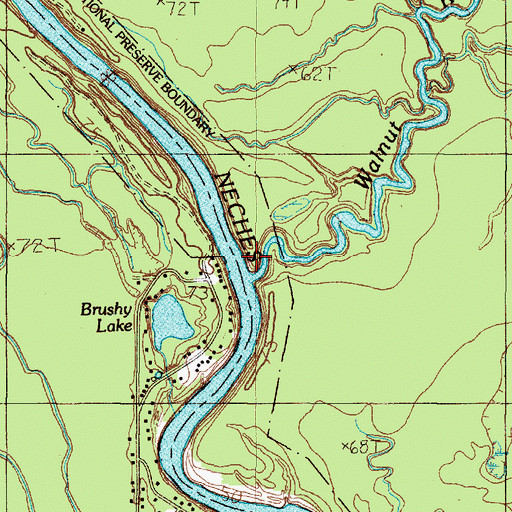 Topographic Map of Walnut Run, TX