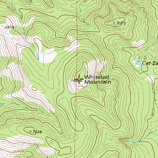 Topographic Map of Whitetail Mountain, TX