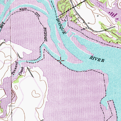 Topographic Map of Tennant Branch, TX