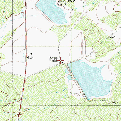 Topographic Map of Shipp Ranch, TX