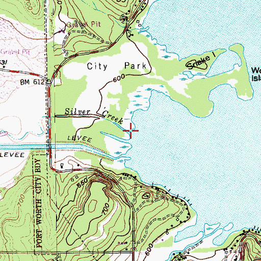 Topographic Map of Silver Creek, TX