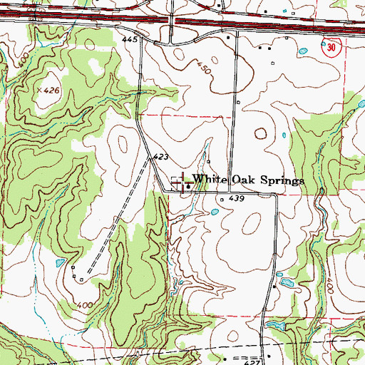 Topographic Map of White Oak Springs, TX