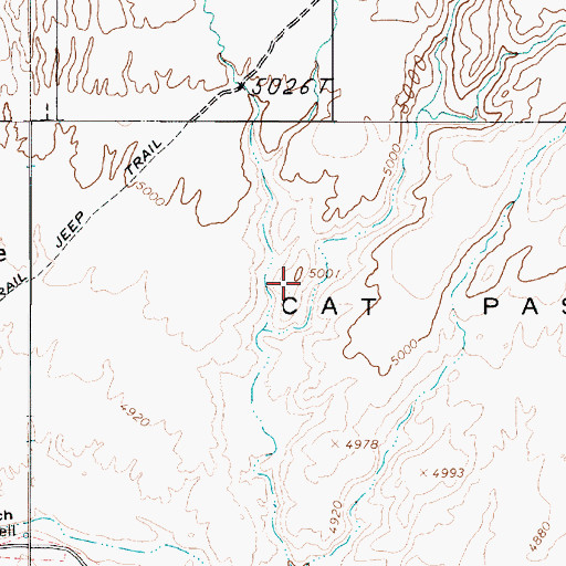 Topographic Map of Cat Pasture, UT