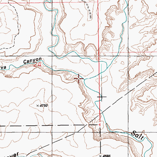 Topographic Map of Cottonwood Wash, UT