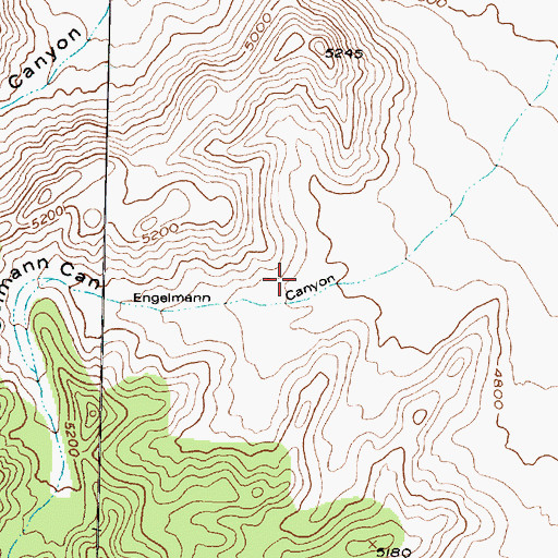 Topographic Map of Engelmann Canyon, UT