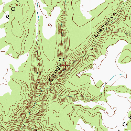 Topographic Map of Llewellyn Canyon, UT