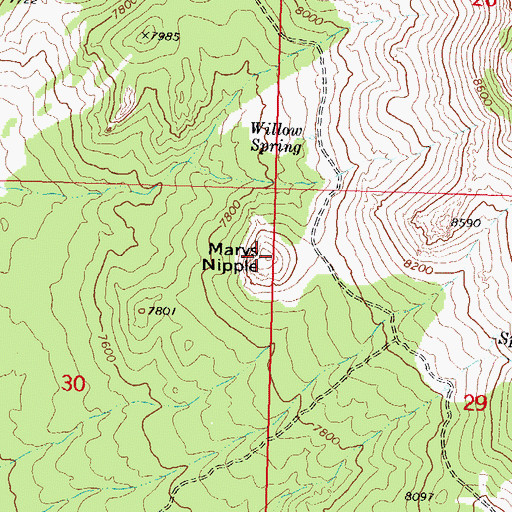 Topographic Map of Marys Nipple, UT