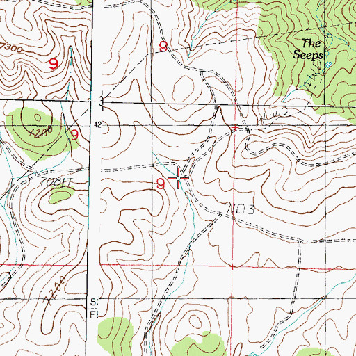 Topographic Map of Ryan Spring, UT