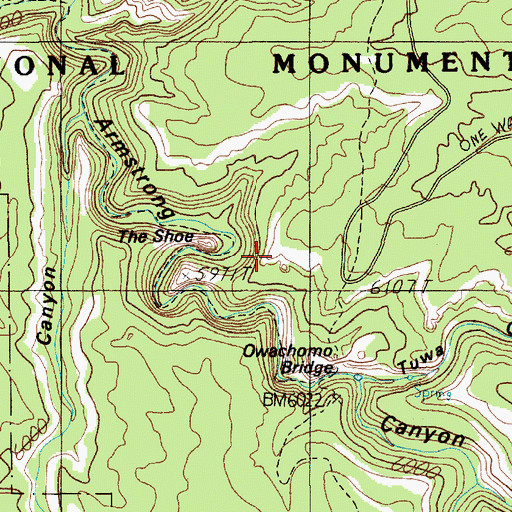 Topographic Map of The Shoe, UT