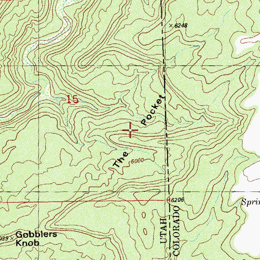 Topographic Map of The Pocket, UT