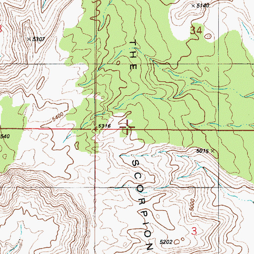 Topographic Map of The Scorpion, UT