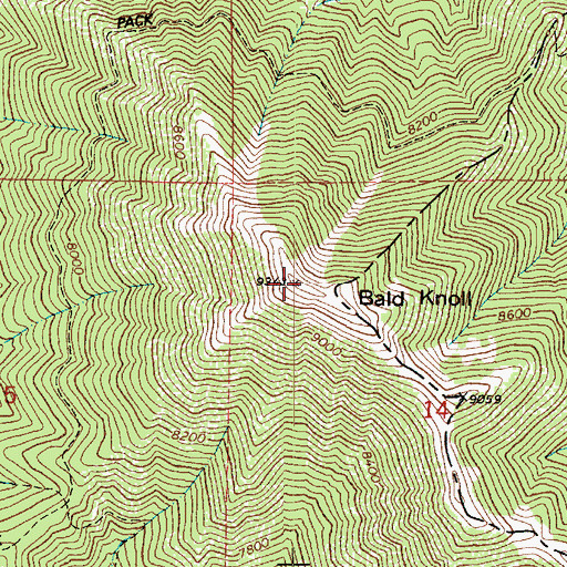 Topographic Map of Bald Knoll, UT