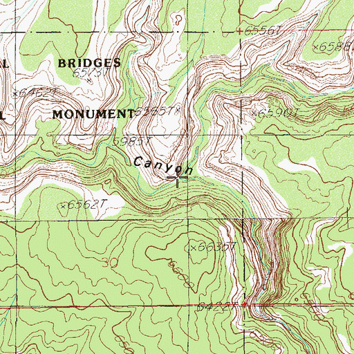 Topographic Map of Burch Canyon, UT