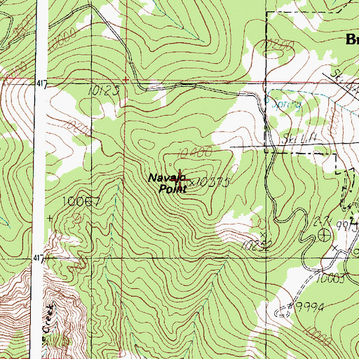 Topographic Map of Navajo Point, UT