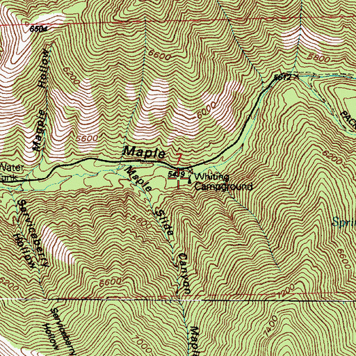 Topographic Map of Whiting Camp, UT