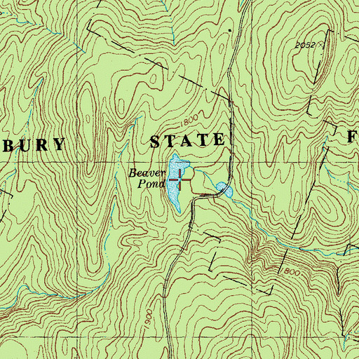 Topographic Map of Beaver Pond, VT