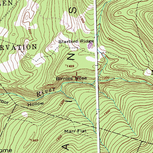 Topographic Map of Birnies Nose, VT