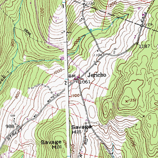 Topographic Map of Jericho, VT