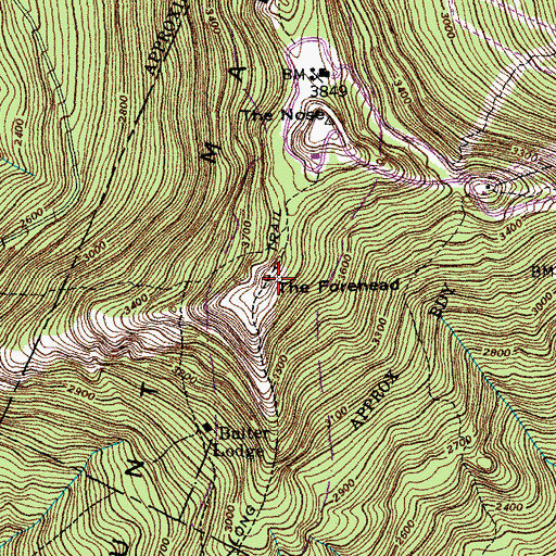 Topographic Map of The Forehead, VT
