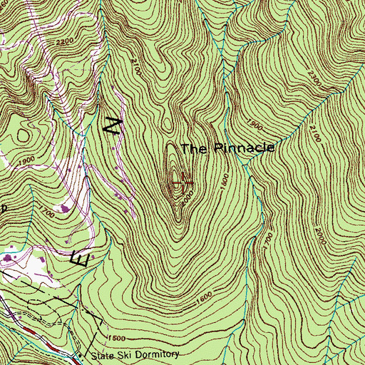 Topographic Map of The Pinnacle, VT