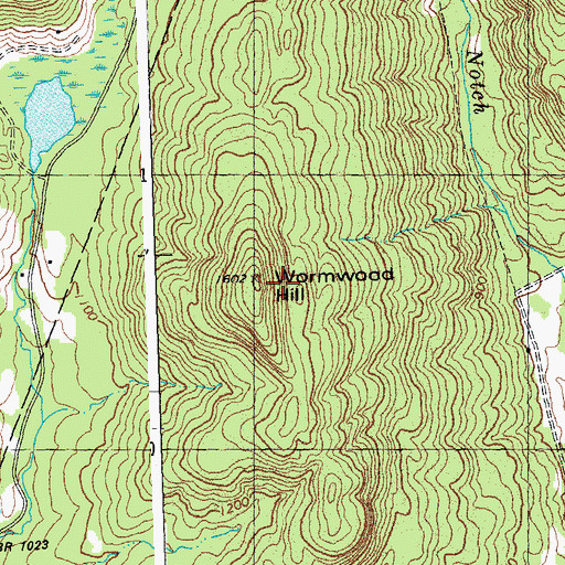 Topographic Map of Wormwood Hill, VT