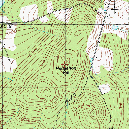 Topographic Map of Hedgehog Hill, VT