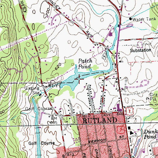 Topographic Map of Patch Pond, VT