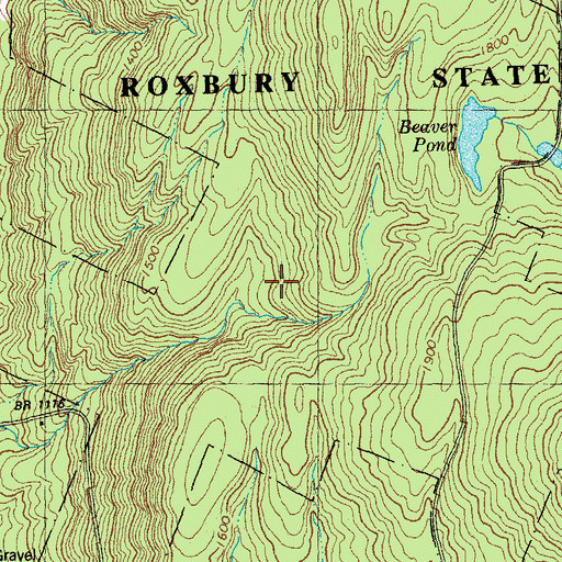 Topographic Map of Roxbury State Forest, VT