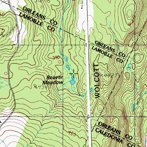 Topographic Map of Beaver Meadow, VT