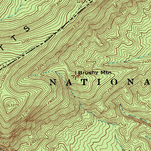 Topographic Map of Brushy Mountain, VA