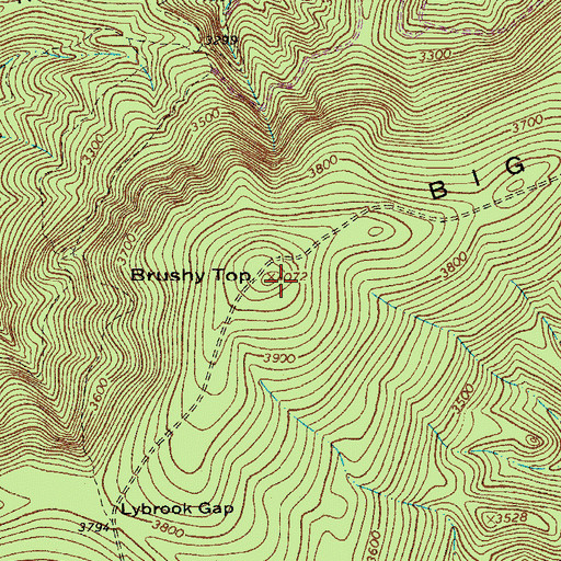 Topographic Map of Brushy Top, VA