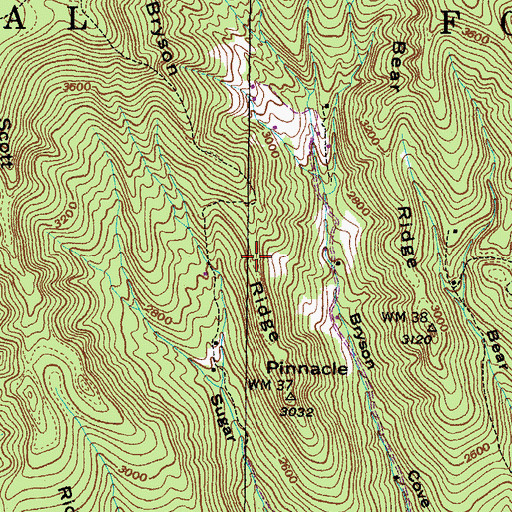 Topographic Map of Bryson Ridge, VA