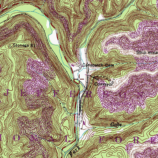 Topographic Map of Canepatch Creek, VA