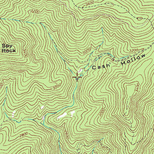 Topographic Map of Cash Hollow, VA