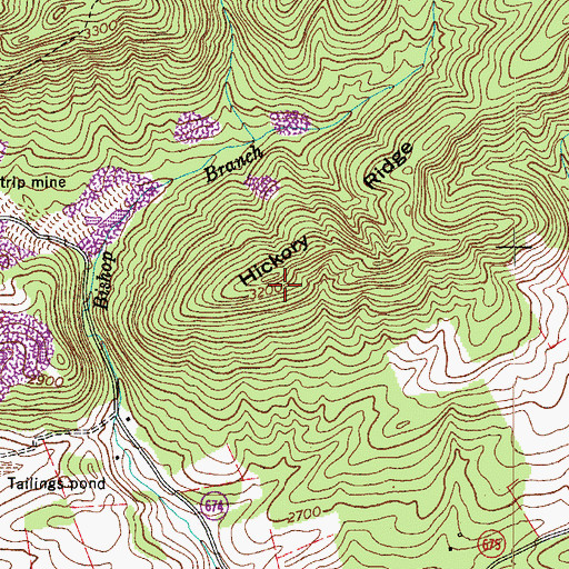 Topographic Map of Hickory Ridge, VA