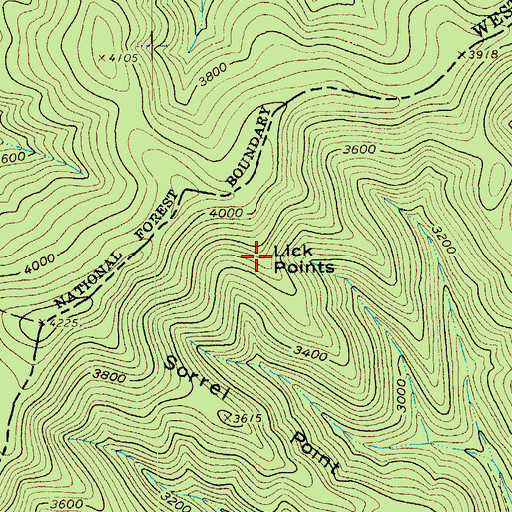 Topographic Map of Lick Points, VA