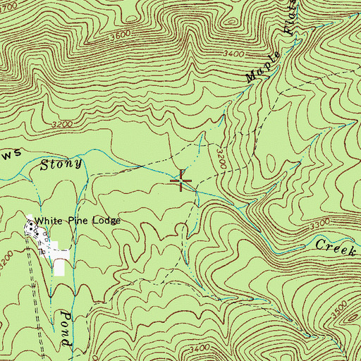 Topographic Map of Maple Flats Branch, VA