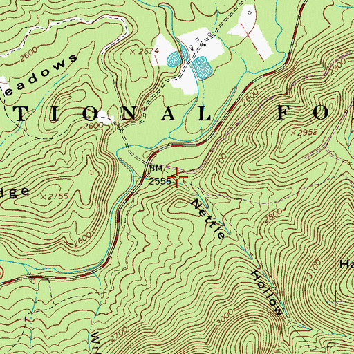 Topographic Map of Nettle Hollow, VA
