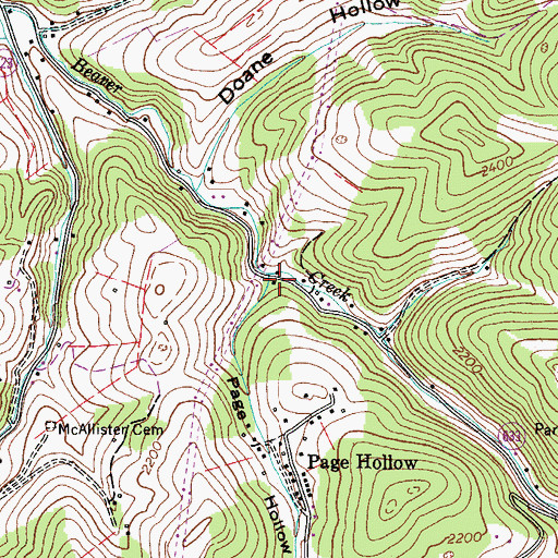 Topographic Map of Page Hollow, VA