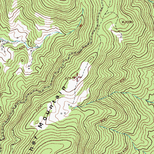 Topographic Map of Panther Mountain, VA