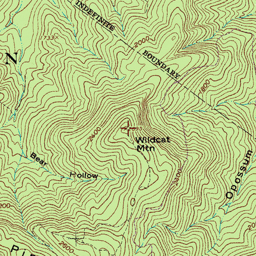 Topographic Map of Wildcat Mountain, VA
