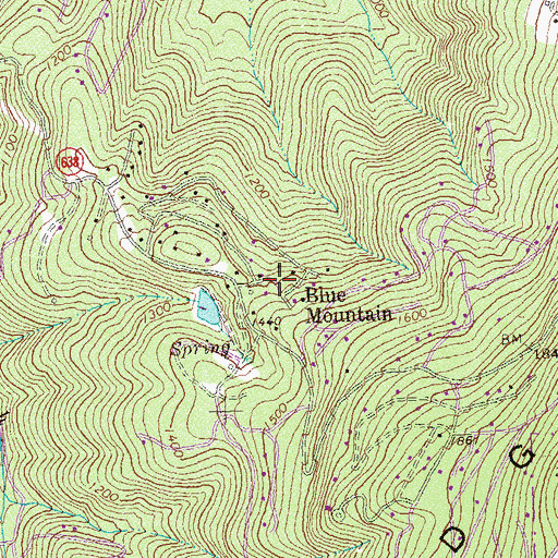 Topographic Map of Blue Mountain, VA