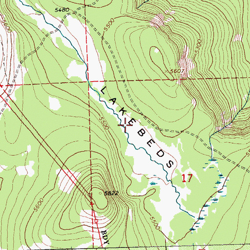 Topographic Map of Lake Beds, WA