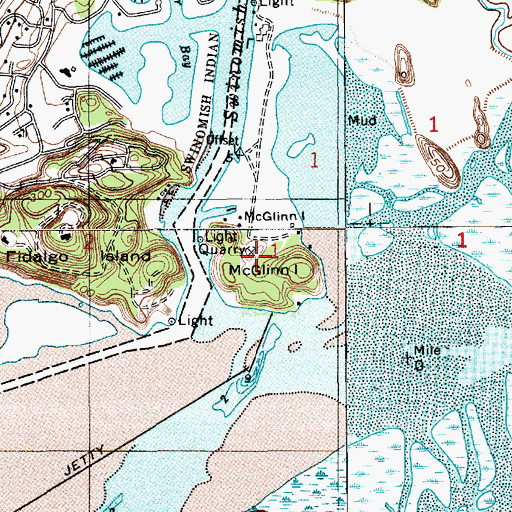Topographic Map of McGlinn Island, WA