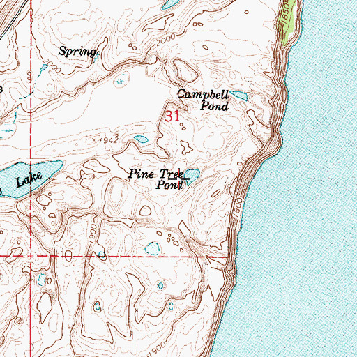 Topographic Map of Pine Tree Pond, WA