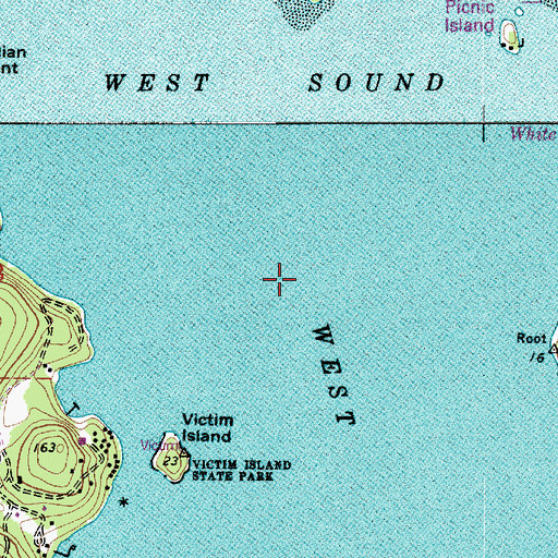Topographic Map of West Sound, WA