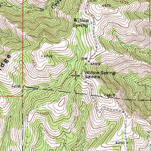 Topographic Map of Willow Spring Saddle, WA