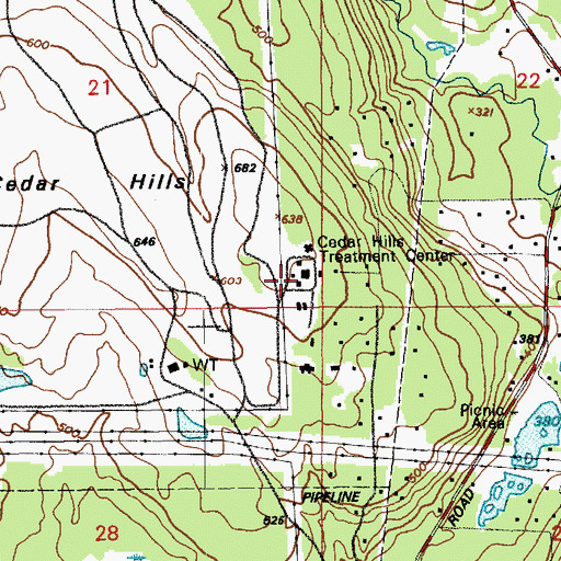Topographic Map of Cedar Hills Treatment Center, WA