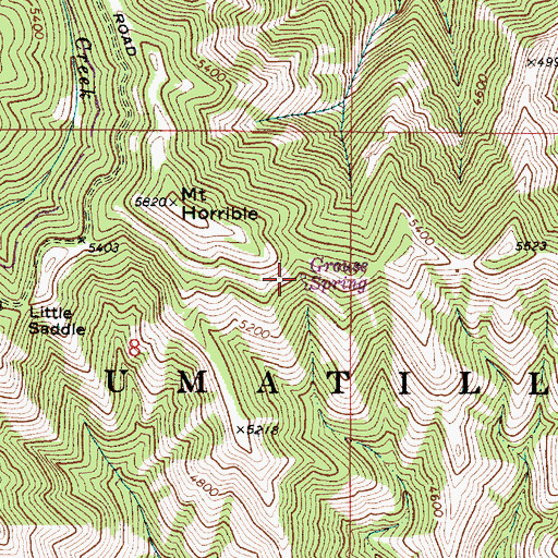 Topographic Map of Grouse Spring, WA