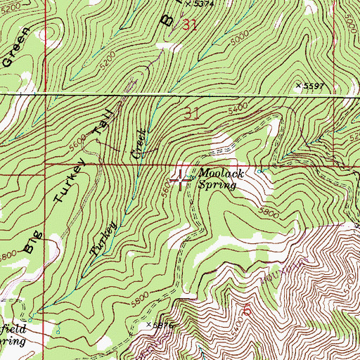 Topographic Map of Moolack Spring, WA